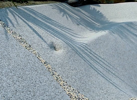 20250603_120302-AR011DrMQJIk8OOX